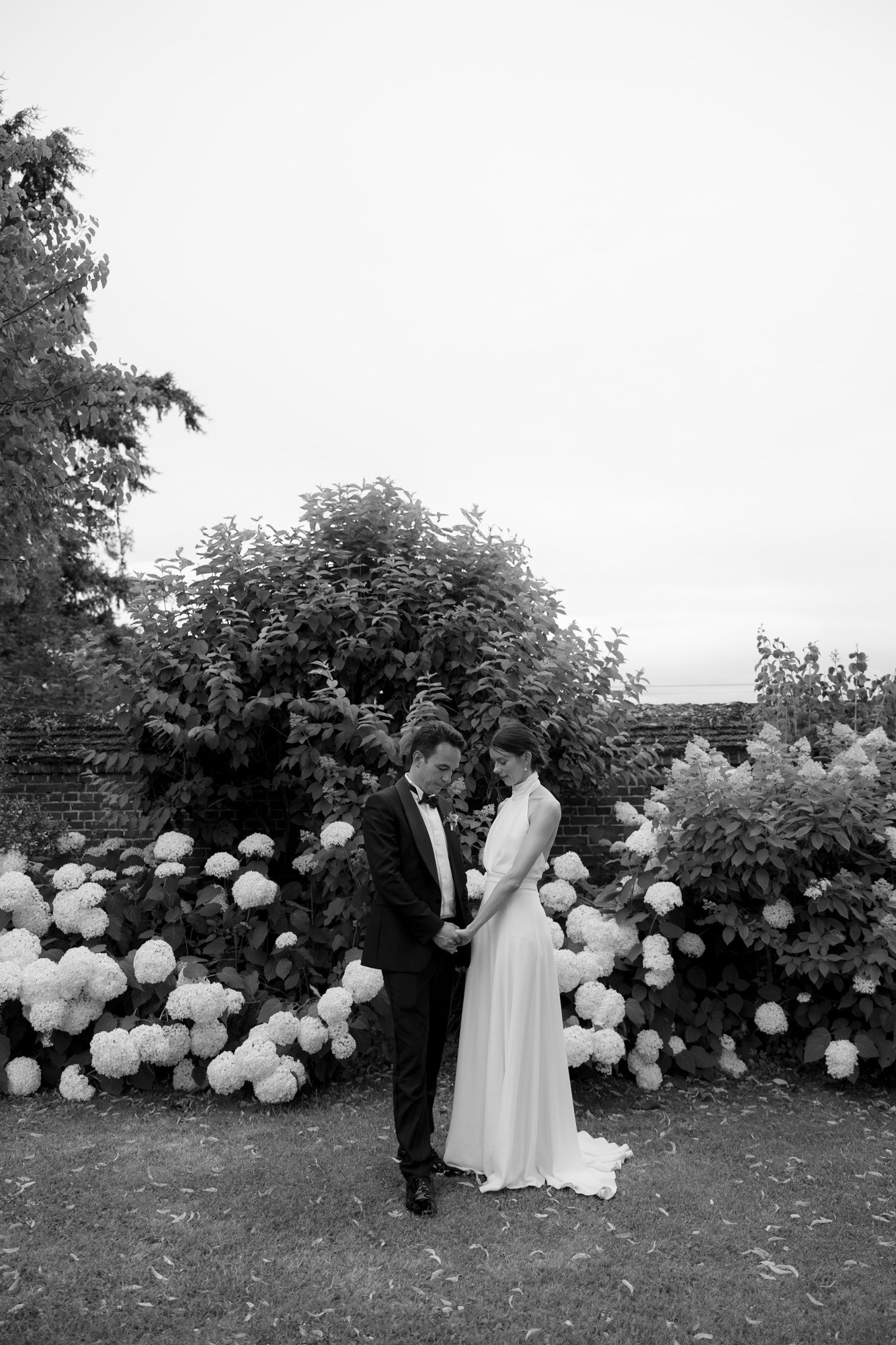 A couple in formal attire stands close together in a garden, surrounded by blooming hydrangeas, with trees and shrubs in the background.